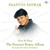 Falguni Pathak - Album Now & Then (The Greatest Remix Album)