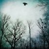 Over the Ocean - Album Be Given to the Soil