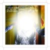 Thirteen Senses - Album All the Love in Your Hands
