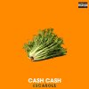 Cash Cash - Album Escarole