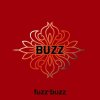 Album Fuzz•Buzz