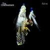 Courteeners - Album Falcon