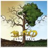 Billfold - Album Substitute EP