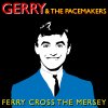 Gerry & The Pacemakers - Album Gerry and the Pacemakers