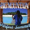 Big Mountain - Album Perfect Summer