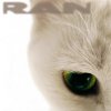 http://s.mxmcdn.net/images-storage/albums/7/6/7/8/0/8/26808767.jpg