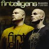 Fintelligens - Album Määränpää