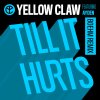 Yellow Claw feat. Ayden - Album Till It Hurts [Boehm Remixes]