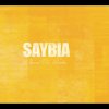 Saybia - Album Bend the Rules