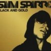 Testo Black and Gold