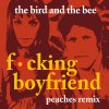 The Bird and the Bee - Album F*cking Boyfriend