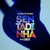 Putzgrilla - Album Sentadinha