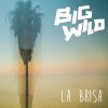 Big Wild - Album La Brisa