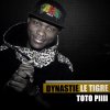 Dynastie le tigre - Album Toto piiii