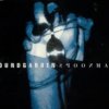 Soundgarden - Album Spoonman