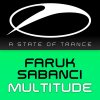 Faruk Sabanci - Album Multitude