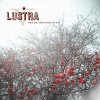 Lustra - Album What You Need & What You Get