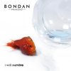 Bondan Prakoso - Album I Will Survive