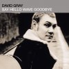 David Gray - Album Say Hello, Wave Goodbye