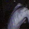http://s.mxmcdn.net/images-storage/albums/8/2/9/3/5/2/32253928.jpg