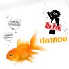 Dr.Fuu - Album ปลาทอง