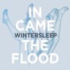 Wintersleep - Album In Came The Flood