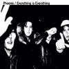 Phoenix - Album Everything Is Everything