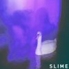 Slime - Album Increases II