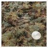 AnnenMayKantereit - Album Alles nix konkretes