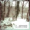 Ephemerals - Album You Made Us Change