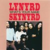 Lynyrd Skynyrd - Album What's Your Name