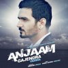Gajendra Verma - Album Anjaam
