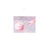 Porches - Album Pool