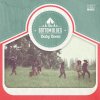 The Bottom Blues - Album Baby Boom
