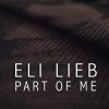 Eli Lieb - Album Part of Me