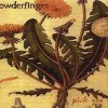 Powderfinger - Album Pick You Up