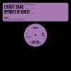 Chiddy Bang - Album Opposite of Adults