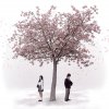 http://s.mxmcdn.net/images-storage/albums/8/7/5/7/3/0/27037578.jpg
