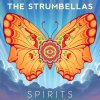 The Strumbellas - Album Spirits