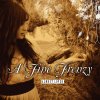A Fine Frenzy - Album Almost Lover