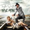 Taylor Swift - Album Mean