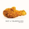Rob Cantor - Album Not a Trampoline