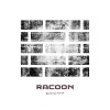 Racoon - Album Brick by Brick