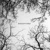 Random Forest - Album Random Forest