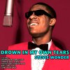 Stevie Wonder - Album Drown in My Own Tears