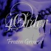 4Order - Album Frozen Ground