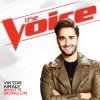 Viktor Király - Album What's Going On (The Voice Performance)