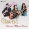 d'cinnamons - Album Warna Warni Cinta