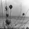 Recondite - Album Placid