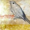 Sarah McMillan - Album Under Your Bright Wings